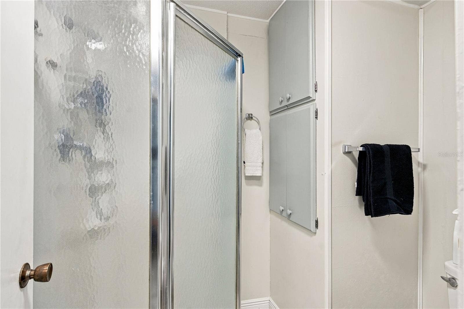 130 PINEY RIDGE, Eustis, FL 32726 Primary Bathroom
