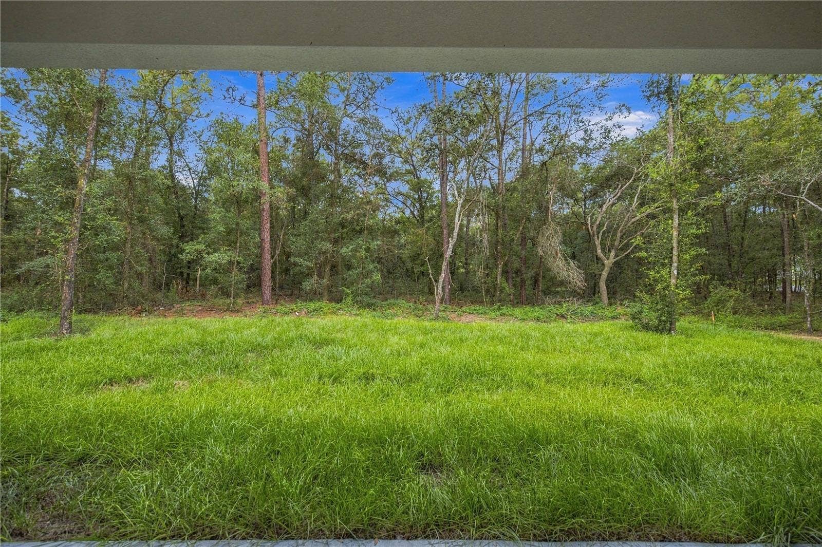 9266 N RHINE WAY, Citrus Springs, FL 34434
