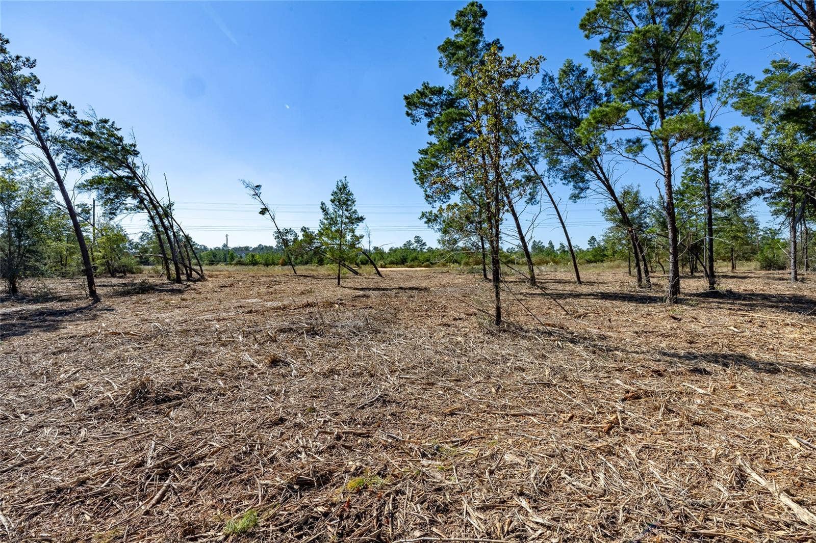 16308 SINGER ROAD, Youngstown, FL 32466