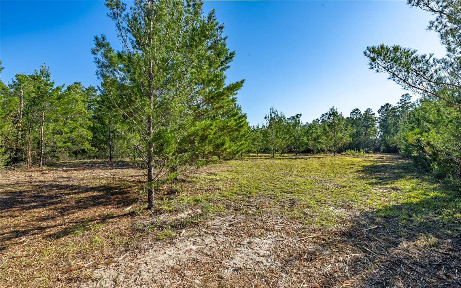 16308 SINGER ROAD, Youngstown, FL 32466