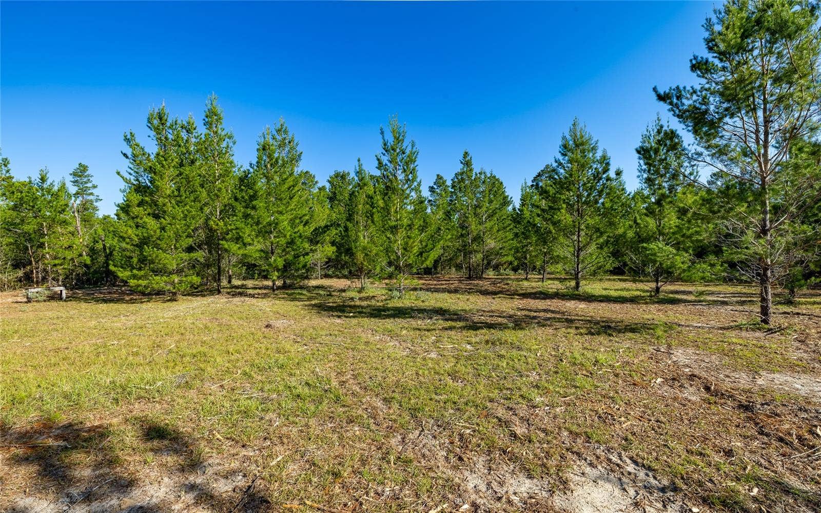 16308 SINGER ROAD, Youngstown, FL 32466