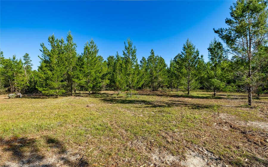 Property photo for 16308 SINGER ROAD, Youngstown, FL