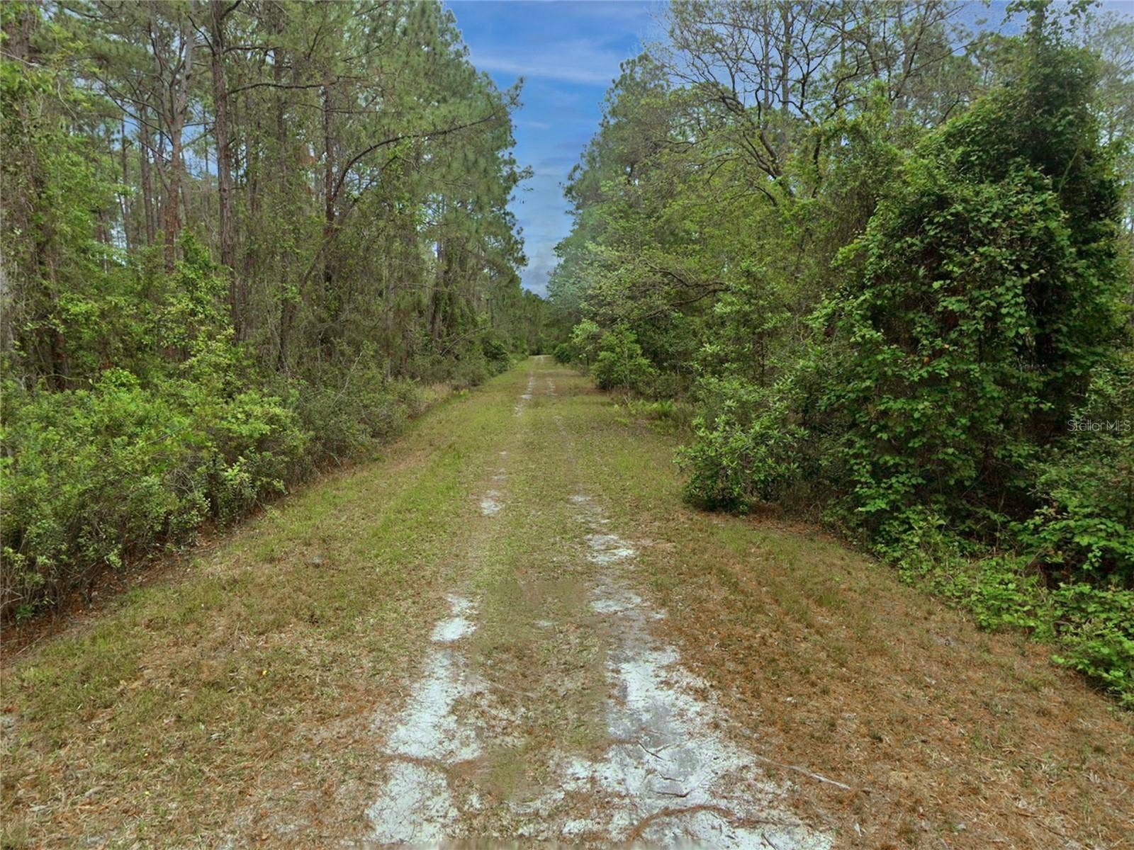 210 SE 1ST STREET, Georgetown, FL 32139 210 SE 1ST STREET, Georgetown, FL 32139