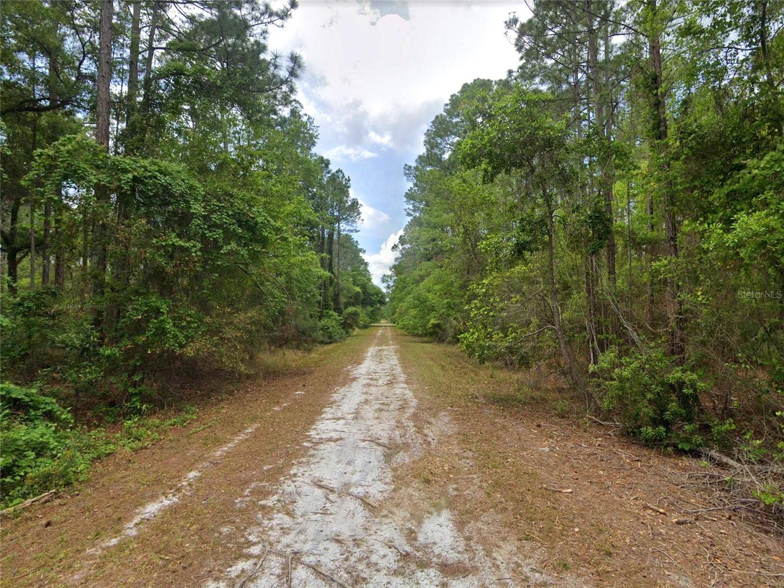 210 SE 1ST STREET, Georgetown, FL 32139 210 SE 1ST STREET, Georgetown, FL 32139