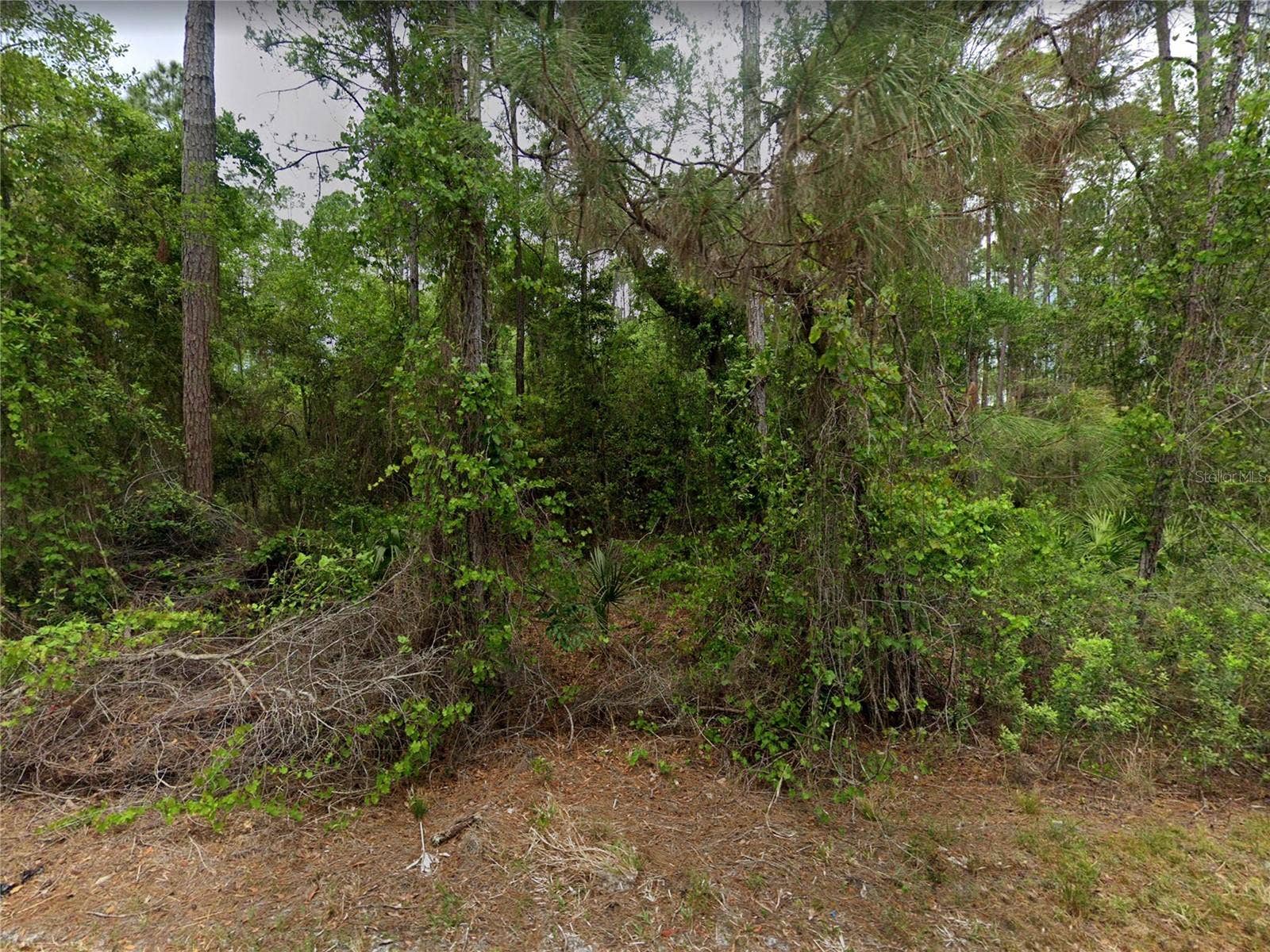 210 SE 1ST STREET, Georgetown, FL 32139 210 SE 1ST STREET, Georgetown, FL 32139