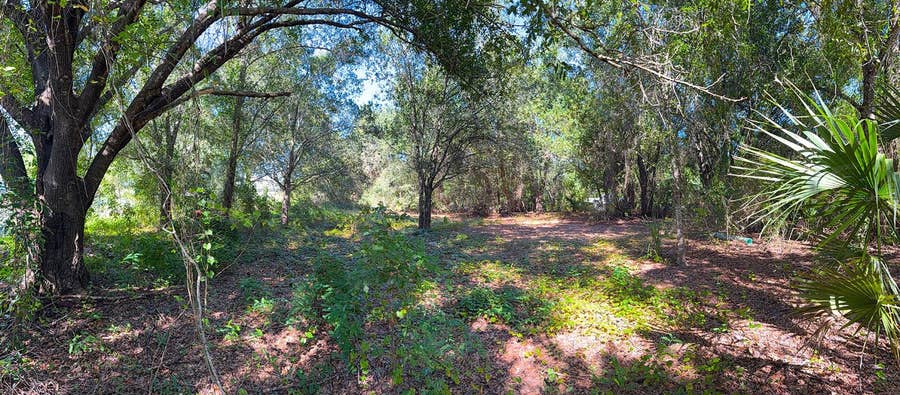 Property photo for 2305 TRITON TERRACE, Punta Gorda, FL