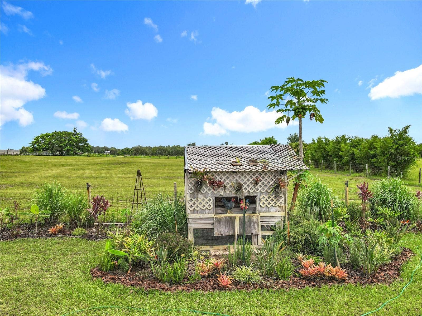 10220 BAY LAKE ROAD, Groveland, FL 34736 10220 BAY LAKE ROAD, Groveland, FL 34736