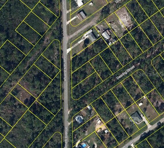 525 HALLMARK AVENUE, Lake Placid, FL 33852