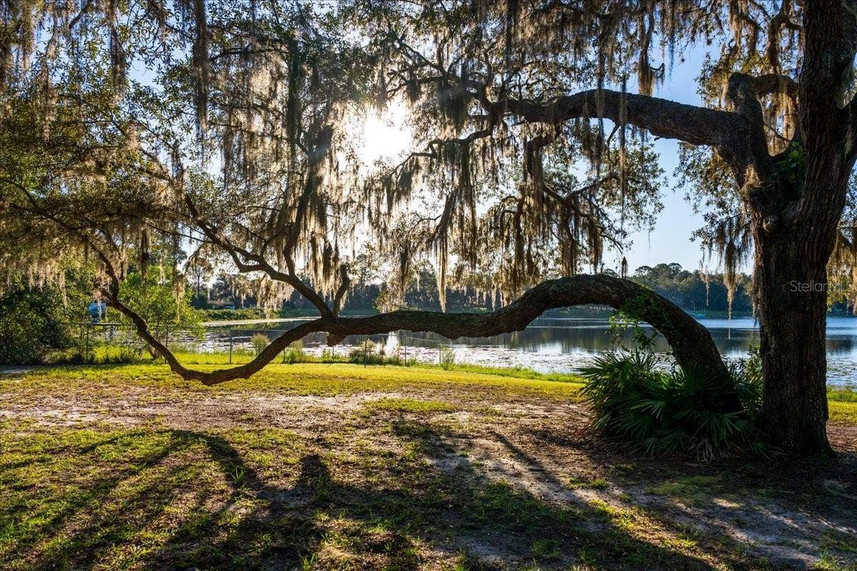 22649 & 22645 & Land NE 105TH AVENUE ROAD, Fort Mc Coy, FL 32134 22649 & 22645 & Land NE 105TH AVENUE ROAD, Fort Mc Coy, FL 32134