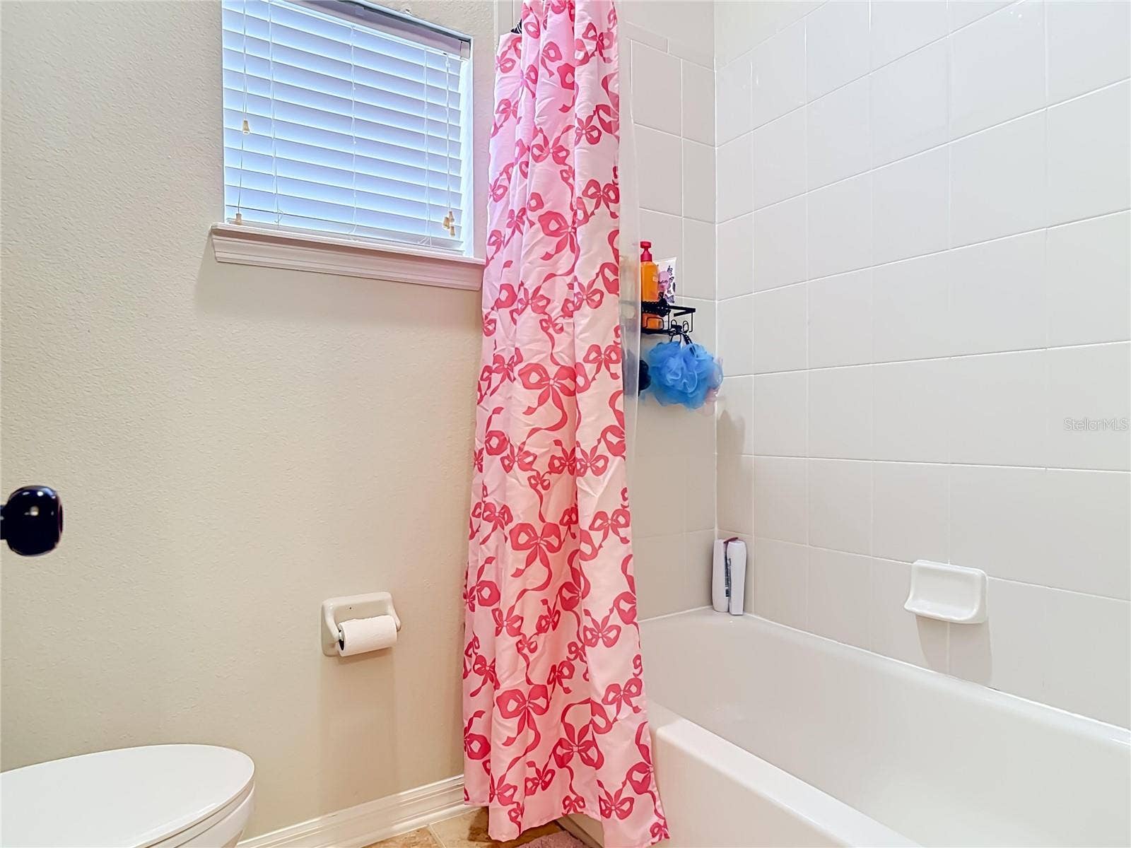 123 IVYDALE MANOR DRIVE, Deland, FL 32724 123 IVYDALE MANOR DRIVE, Deland, FL 32724