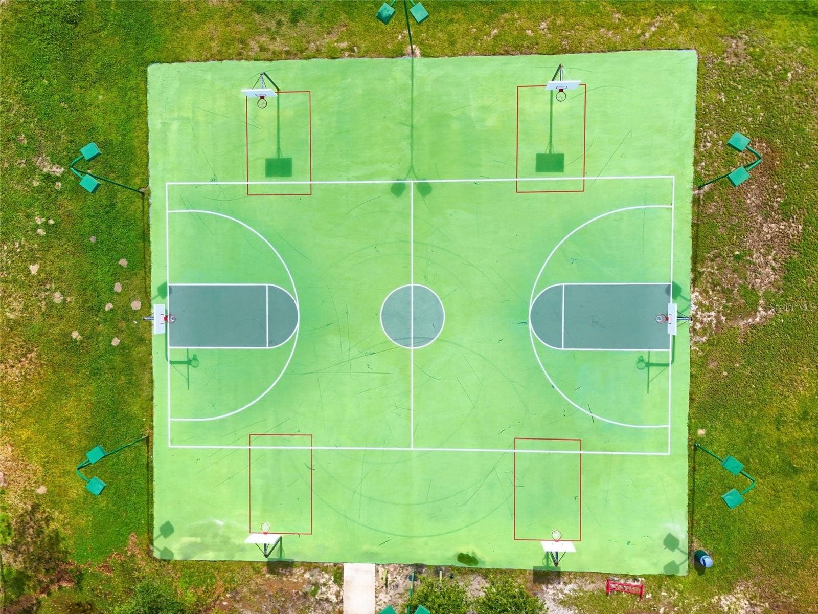 6234 TREMAYNE DRIVE, Mount Dora, FL 32757 Basketball
