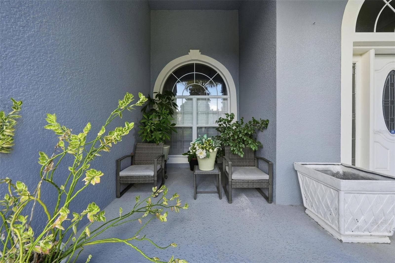 6234 TREMAYNE DRIVE, Mount Dora, FL 32757 Front porch