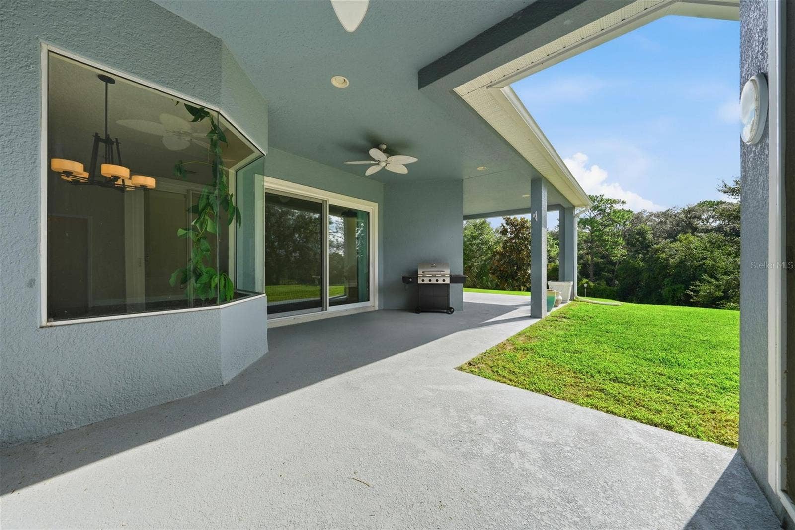 6234 TREMAYNE DRIVE, Mount Dora, FL 32757 Back porch