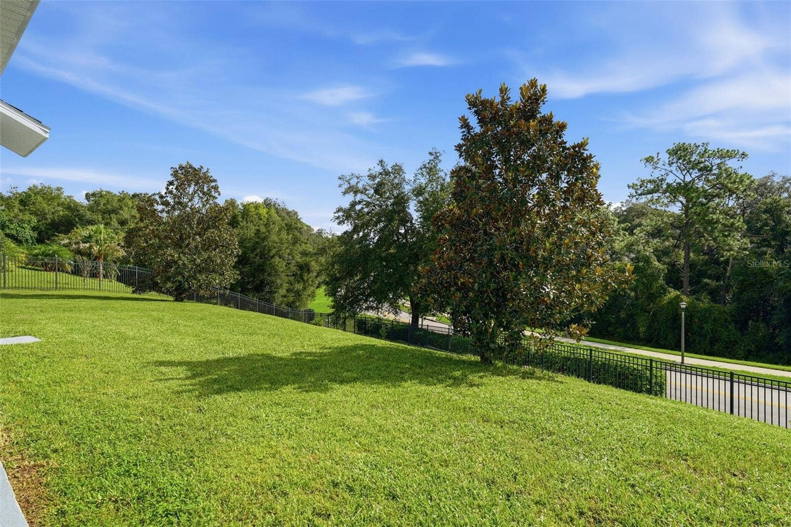 6234 TREMAYNE DRIVE, Mount Dora, FL 32757 Back yard 3