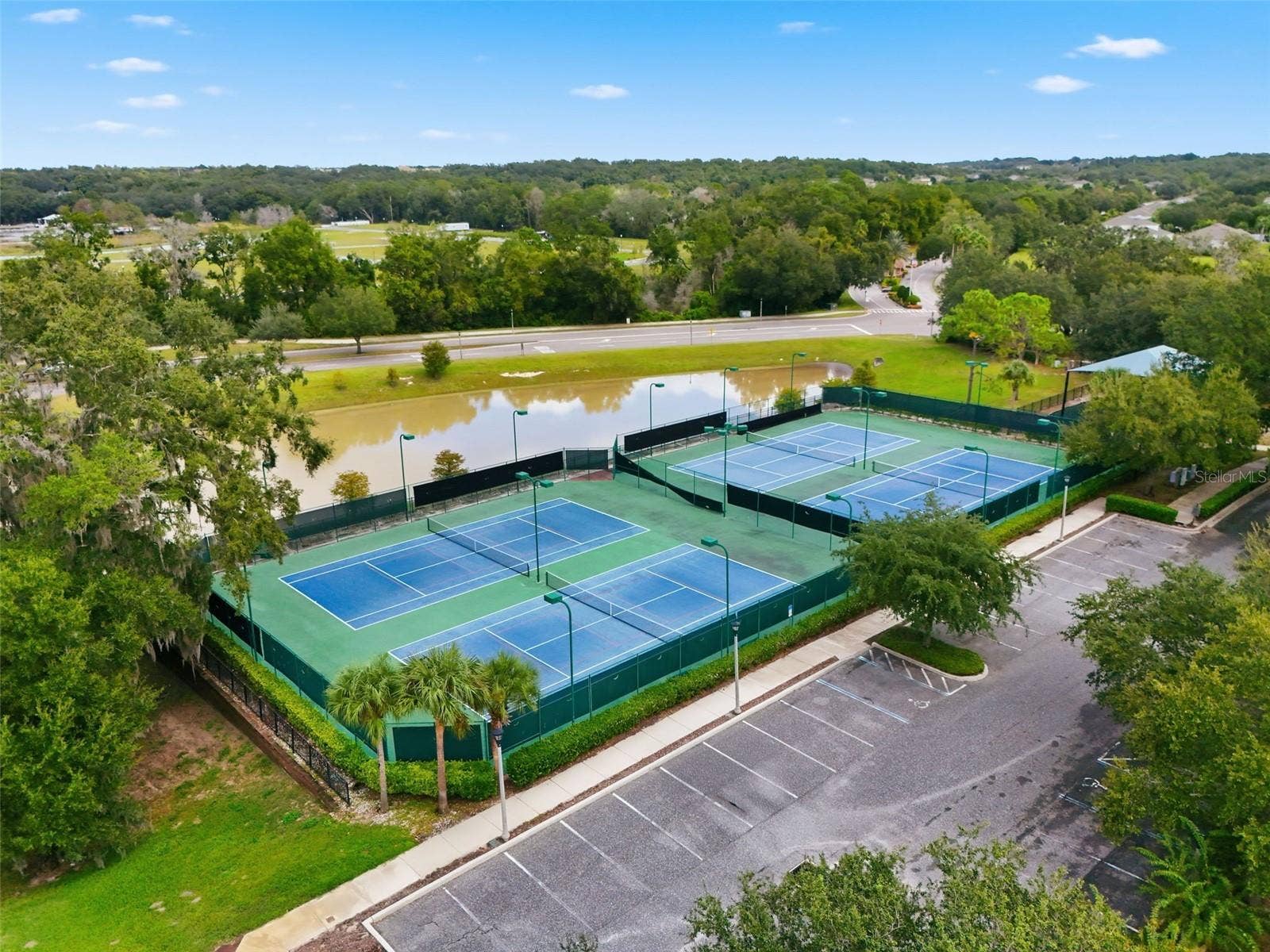 6234 TREMAYNE DRIVE, Mount Dora, FL 32757 Tennis