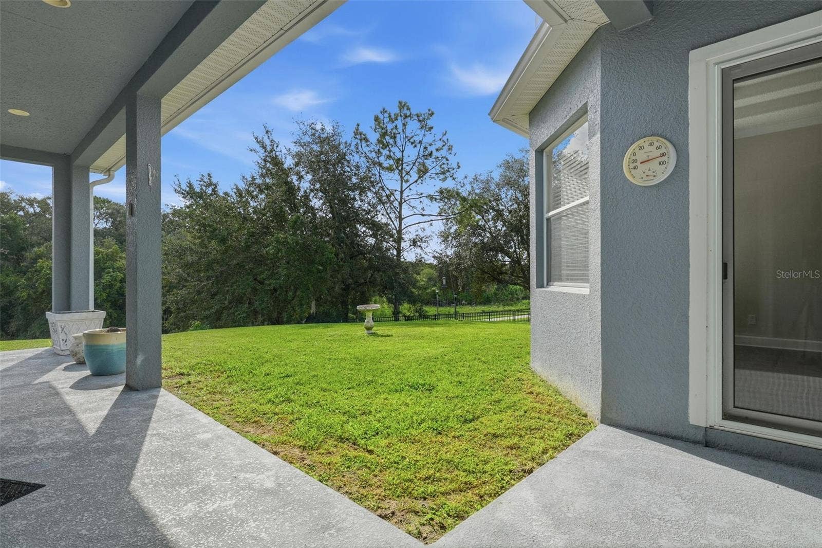6234 TREMAYNE DRIVE, Mount Dora, FL 32757 Back yard 1