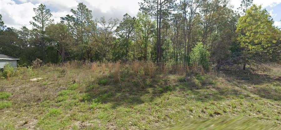 Property photo for 8445 N JANEAUX DRIVE, Citrus Springs, FL