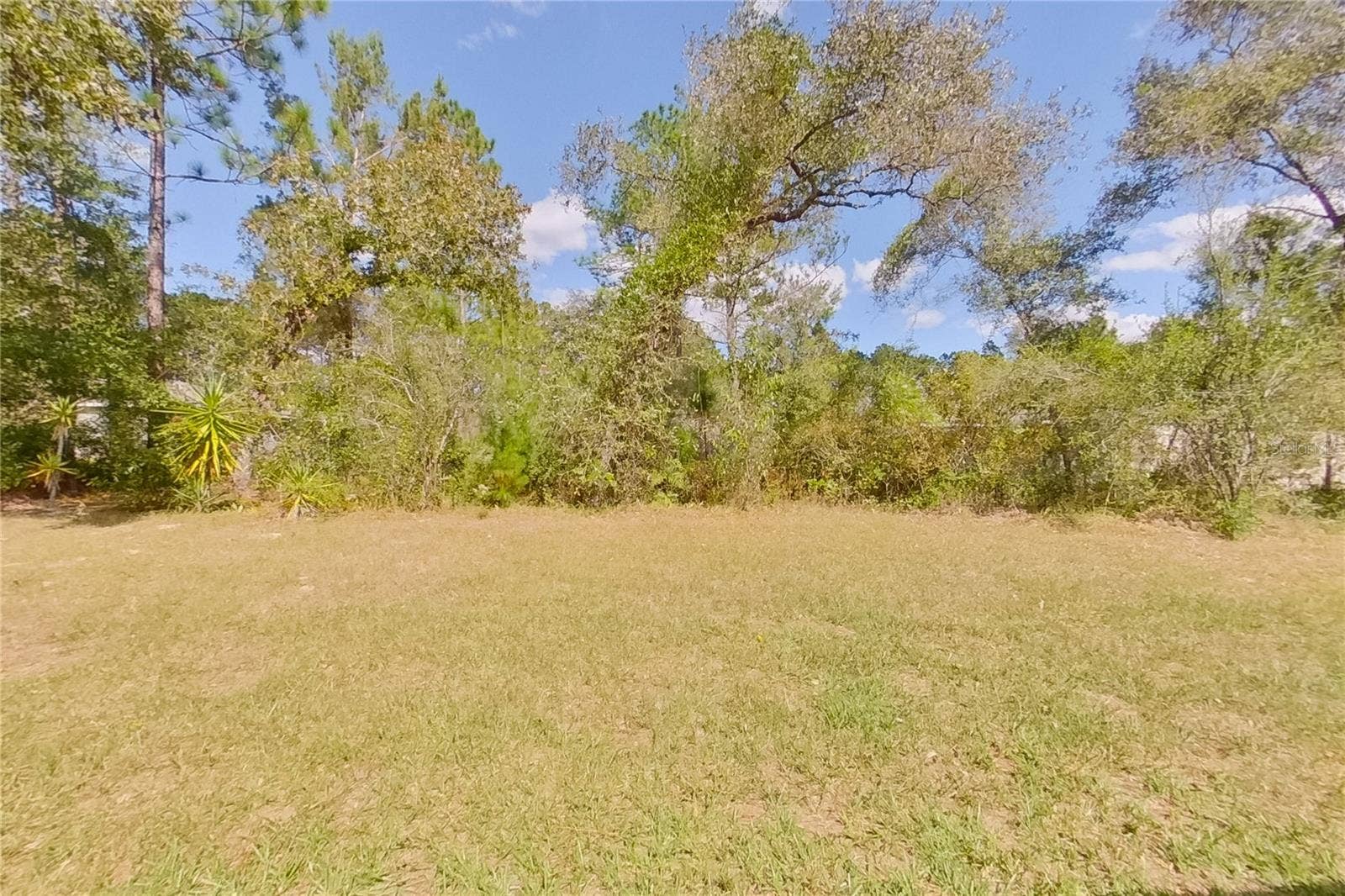 8833 N VIENNA DRIVE, Citrus Springs, FL 34433 8833 N VIENNA DRIVE, Citrus Springs, FL 34433