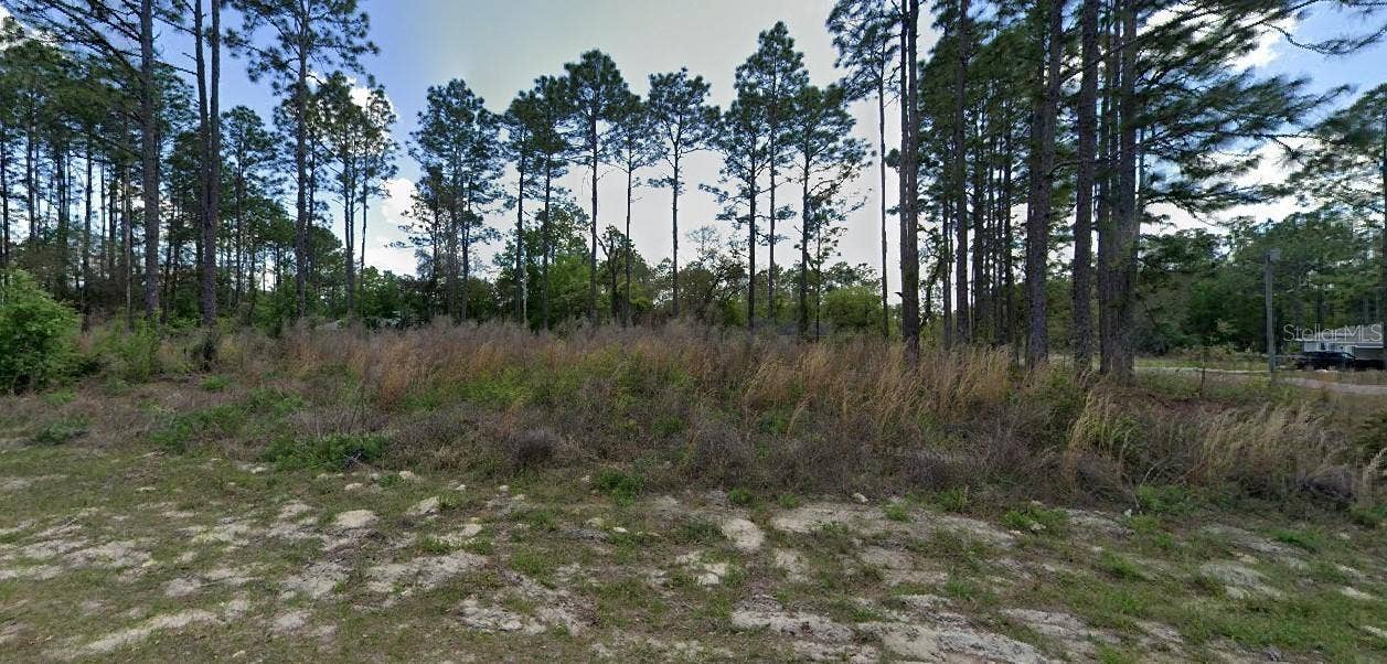 1562 W ACADIAN PLACE, Citrus Springs, FL 34434 1562 W ACADIAN PLACE, Citrus Springs, FL 34434