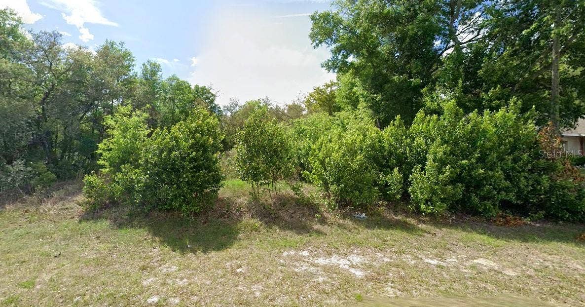 8278 N TRIANA DRIVE, Citrus Springs, FL 34434