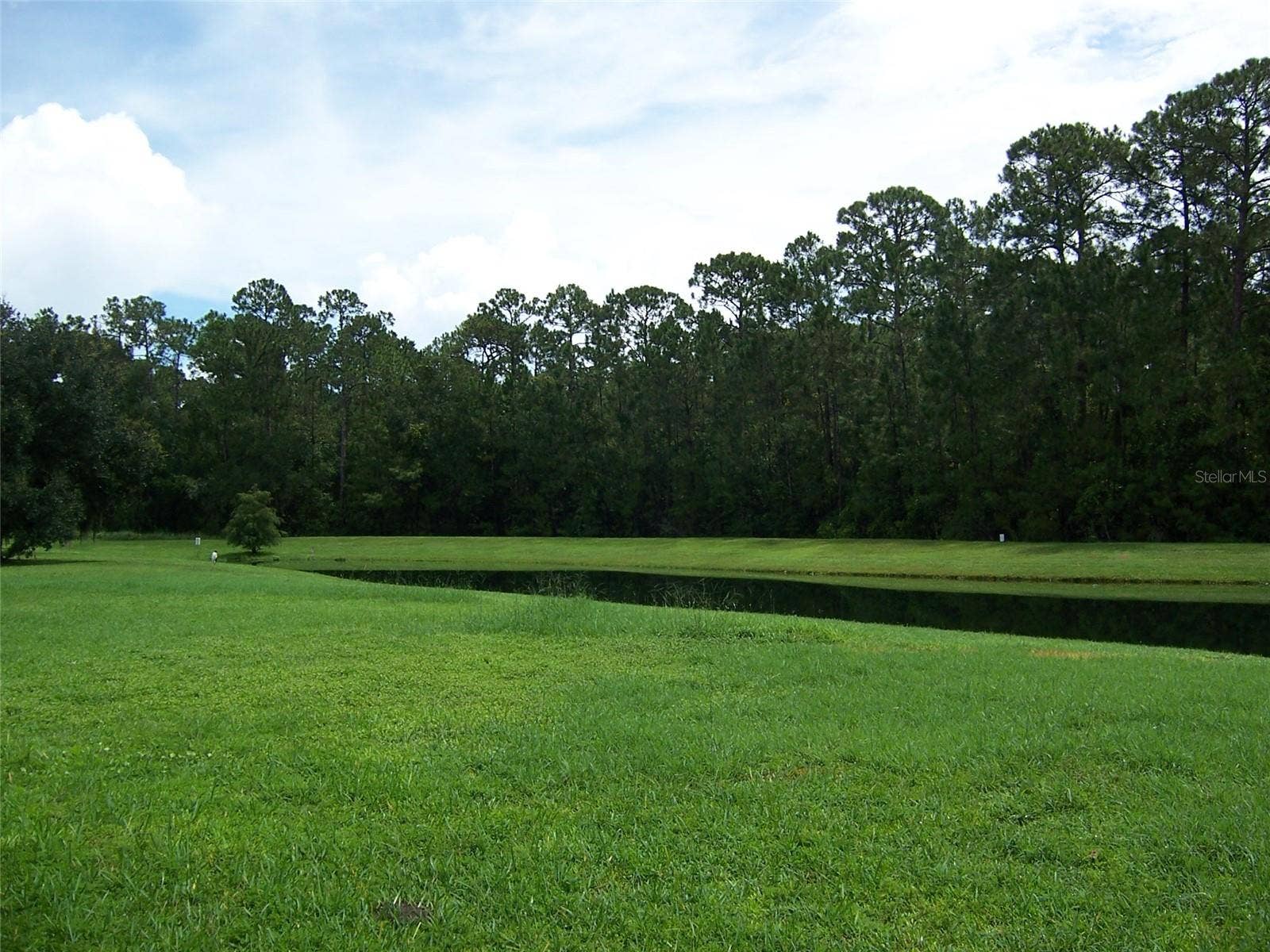 8631 GREENBANK BOULEVARD, Windermere, FL 34786 8631 GREENBANK BOULEVARD, Windermere, FL 34786