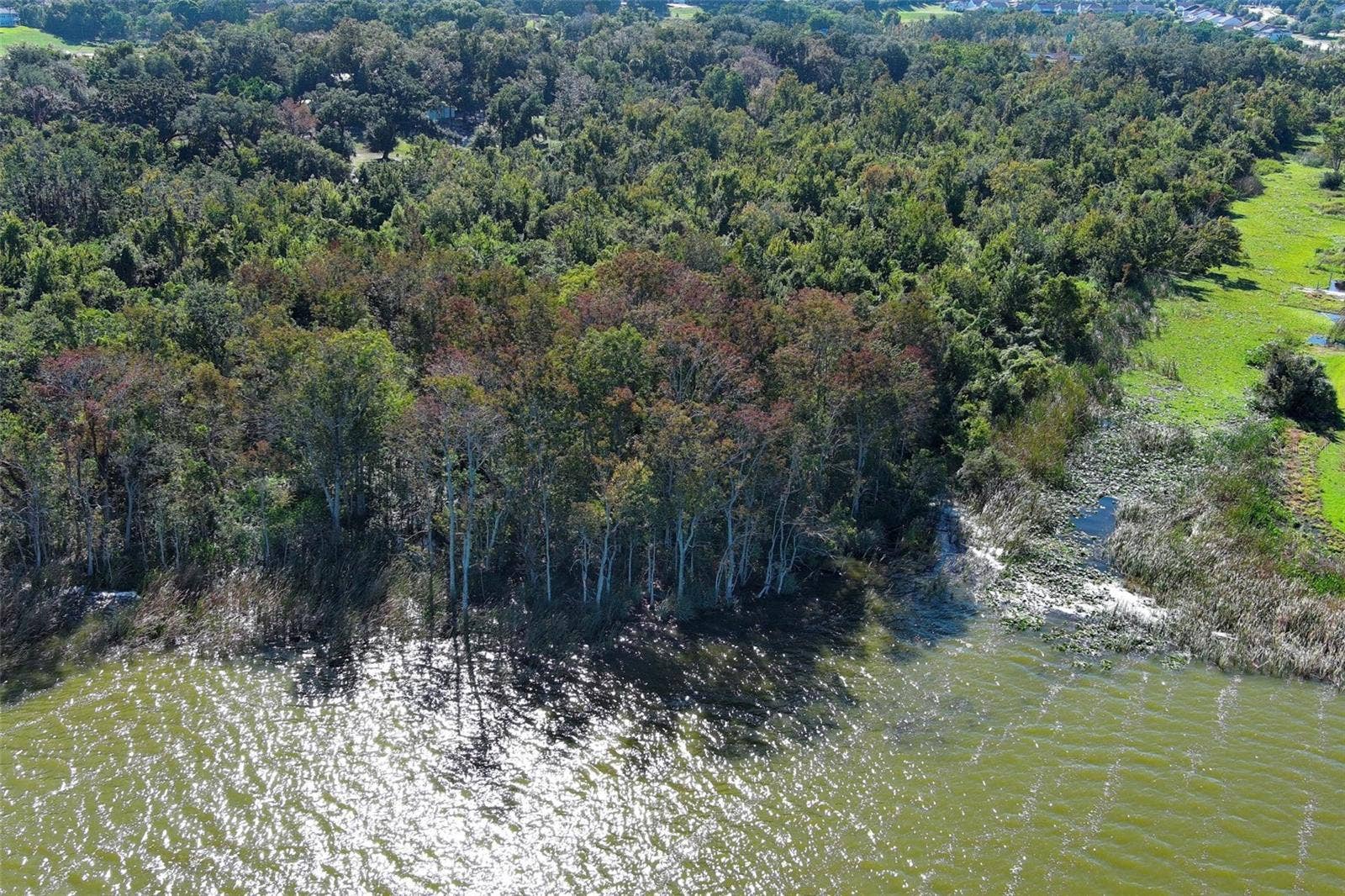 Lake Apopka Access