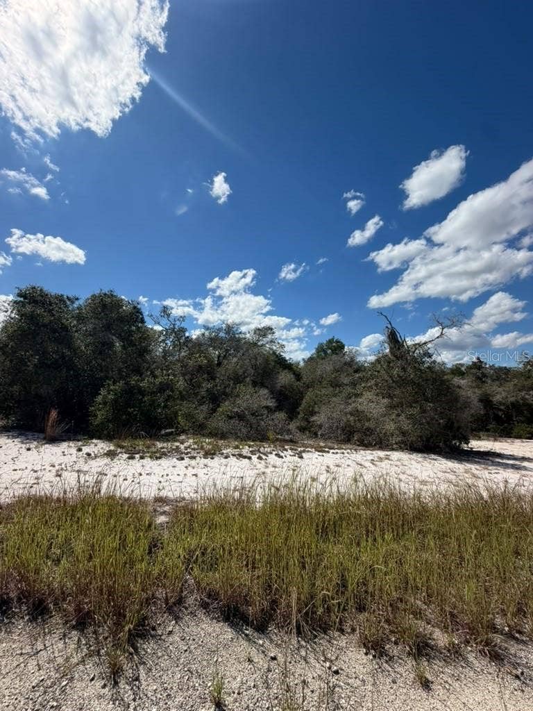 Property photo for 244 DARGEN DRIVE, Lake Placid, FL
