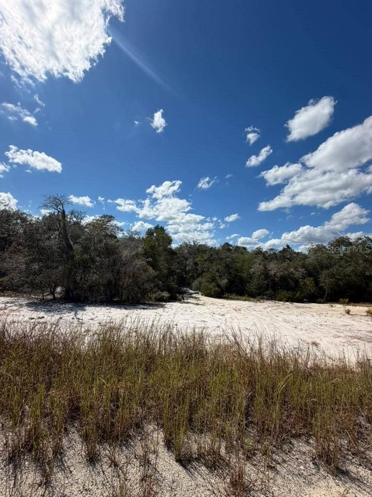 244 DARGEN DRIVE, Lake Placid, FL 33852 244 DARGEN DRIVE, Lake Placid, FL 33852