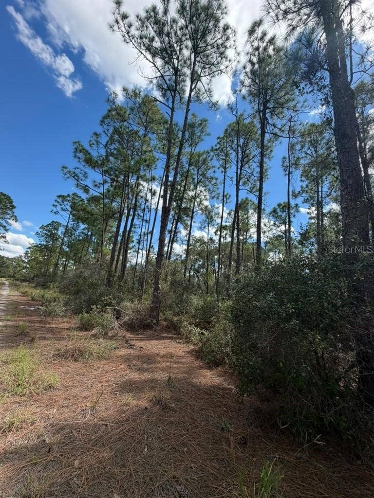 421 AMOROUS AVENUE, Lake Placid, FL 33852