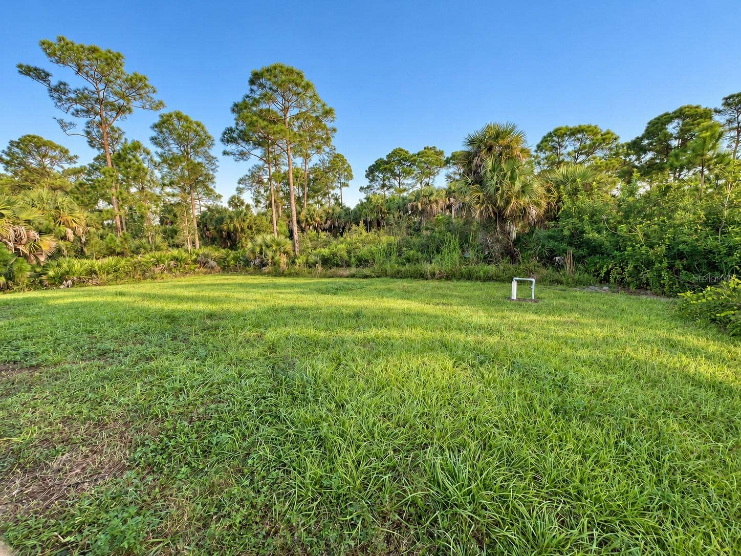 3404 61ST STREET W, Lehigh Acres, FL 33971 Backyard.