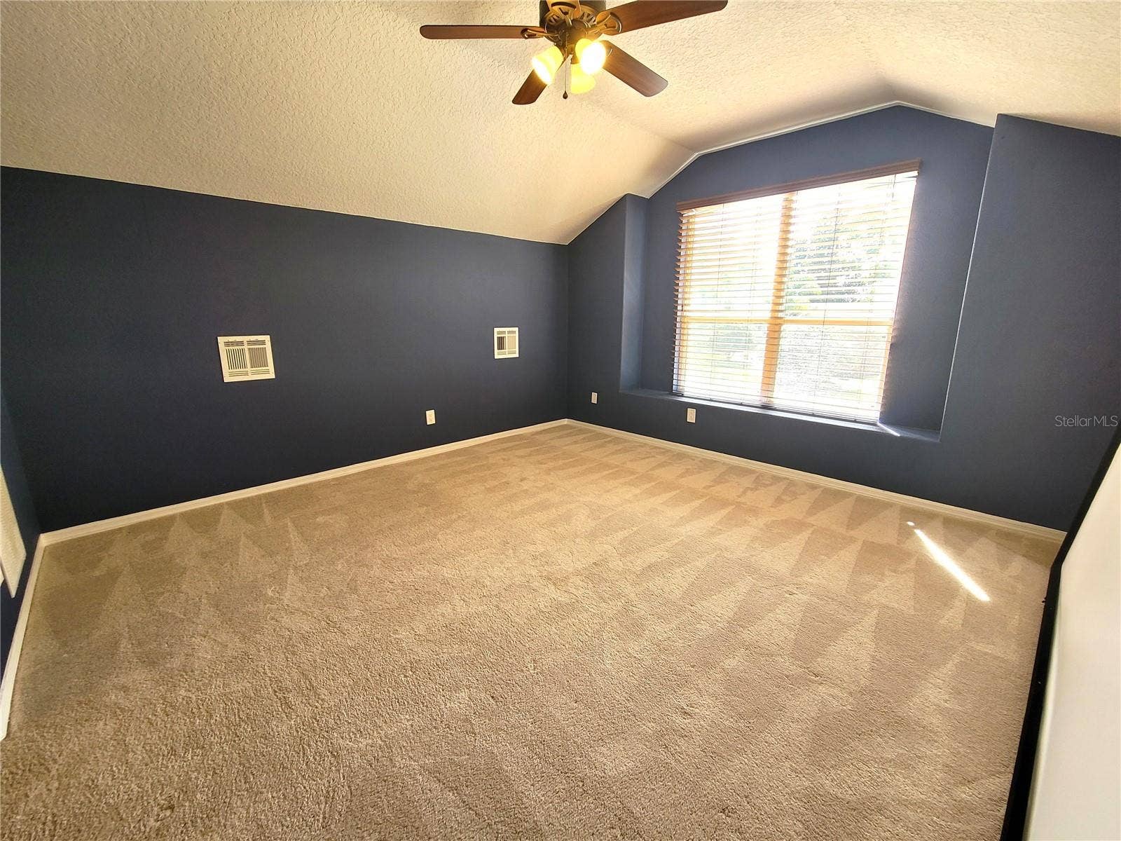 Bonus Room- 4th Bedroom