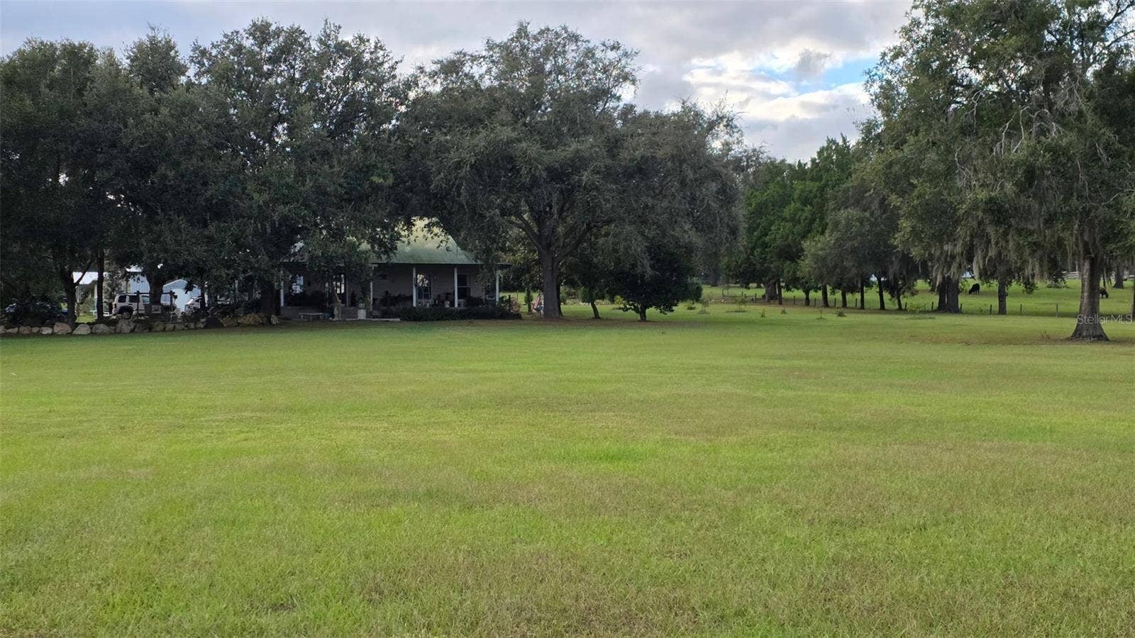 31915 TRILBY ROAD, Dade City, FL 33523 Temporary Photo