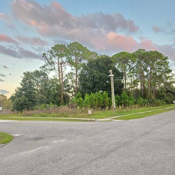 Property photo for TBD S. ANDERSON ST, Bunnell, FL