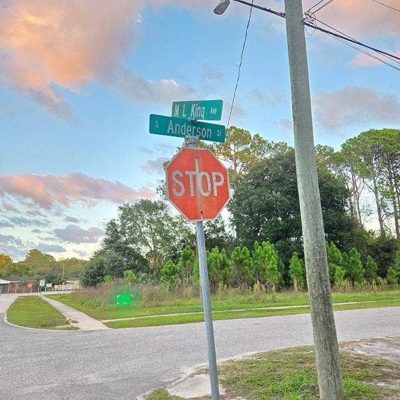 TBD S. ANDERSON ST, Bunnell, FL 32110