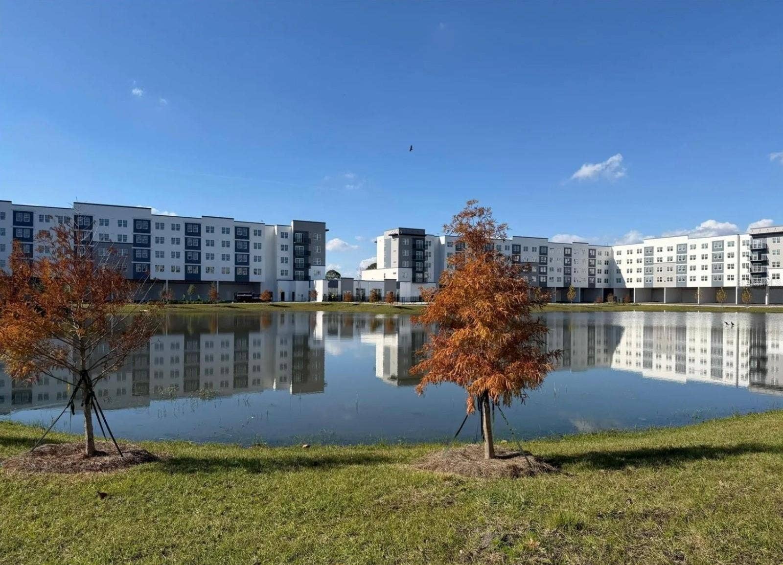 5587 MILLENIA BOULEVARD, #213, Orlando, FL 32839 5587 MILLENIA BOULEVARD, #213, Orlando, FL 32839