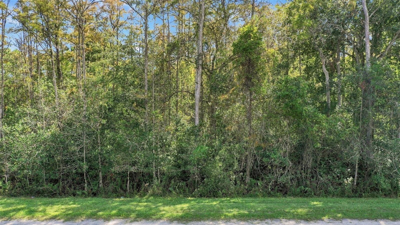 ROBERTSON STREET, Orlando, FL 32833