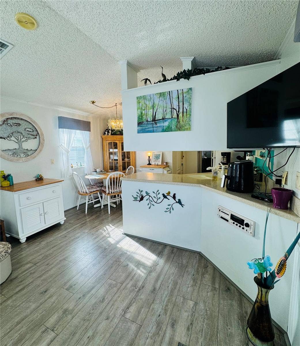 Living - Kitchen Area