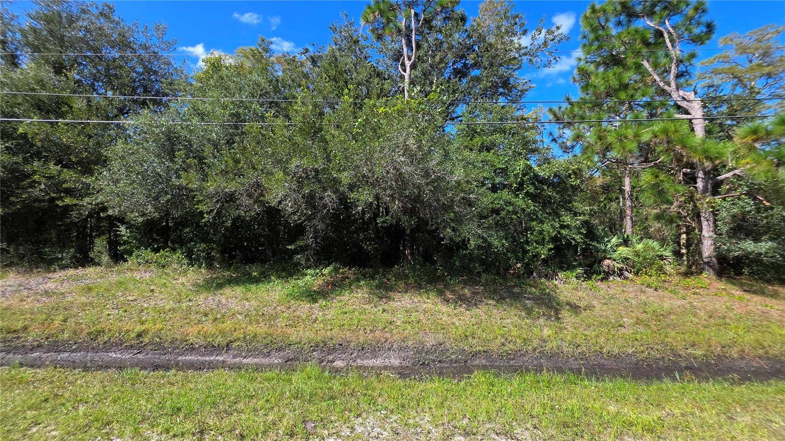 18873 NETHERLAND STREET, Orlando, FL 32833 18873 NETHERLAND STREET, Orlando, FL 32833