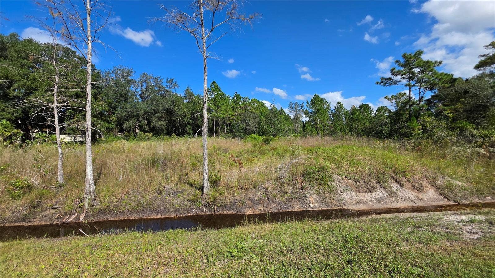 18873 NETHERLAND STREET, Orlando, FL 32833 18873 NETHERLAND STREET, Orlando, FL 32833