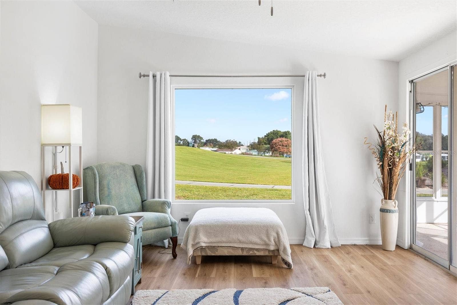 View from Living Room