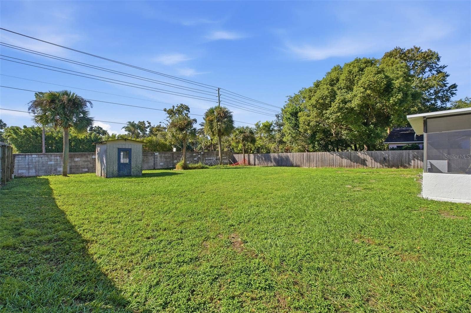 Backyard