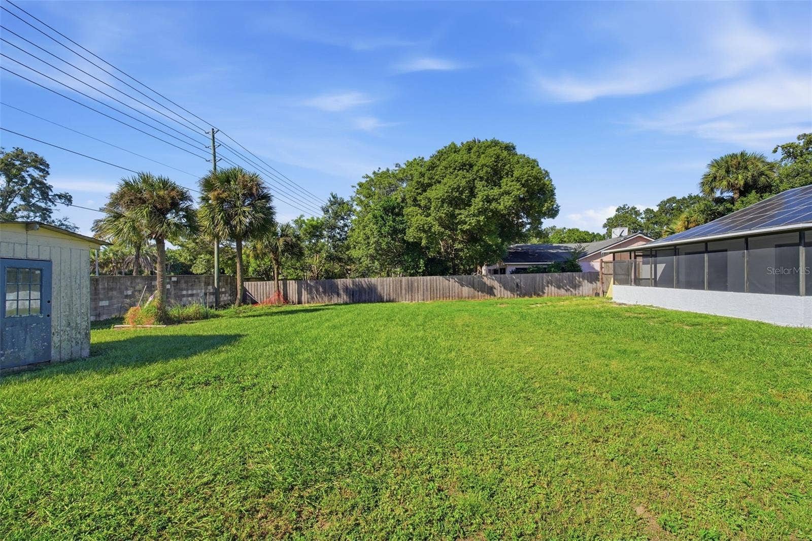 Backyard