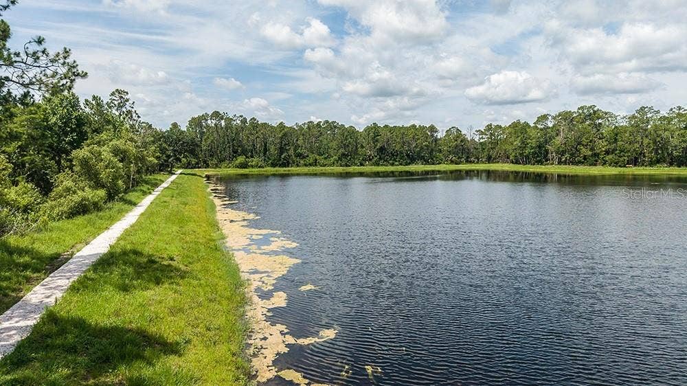 870 JUNONIA BOULEVARD, New Smyrna Beach, FL 32168 Ardisia Park Community