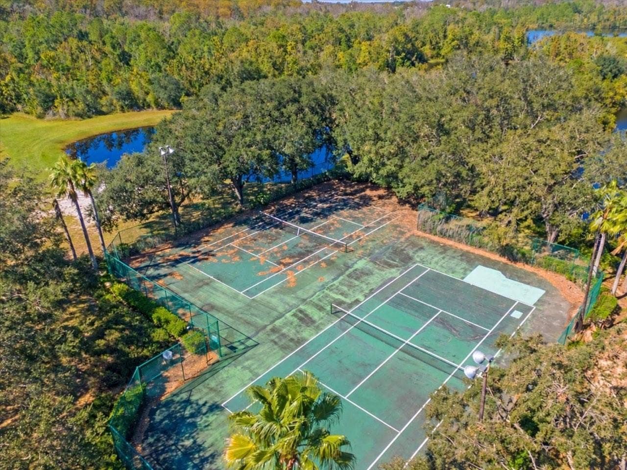 452 LAKE SHORE PARKWAY, Davenport, FL 33896