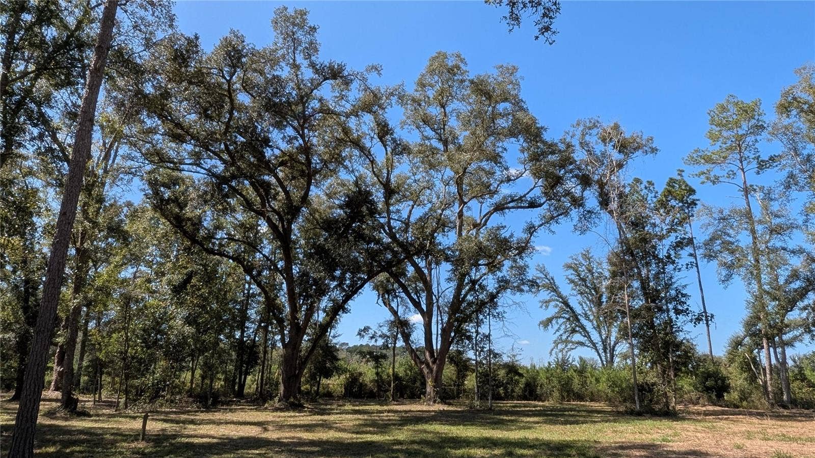 10591 160TH STREET, Mc Alpin, FL 32062