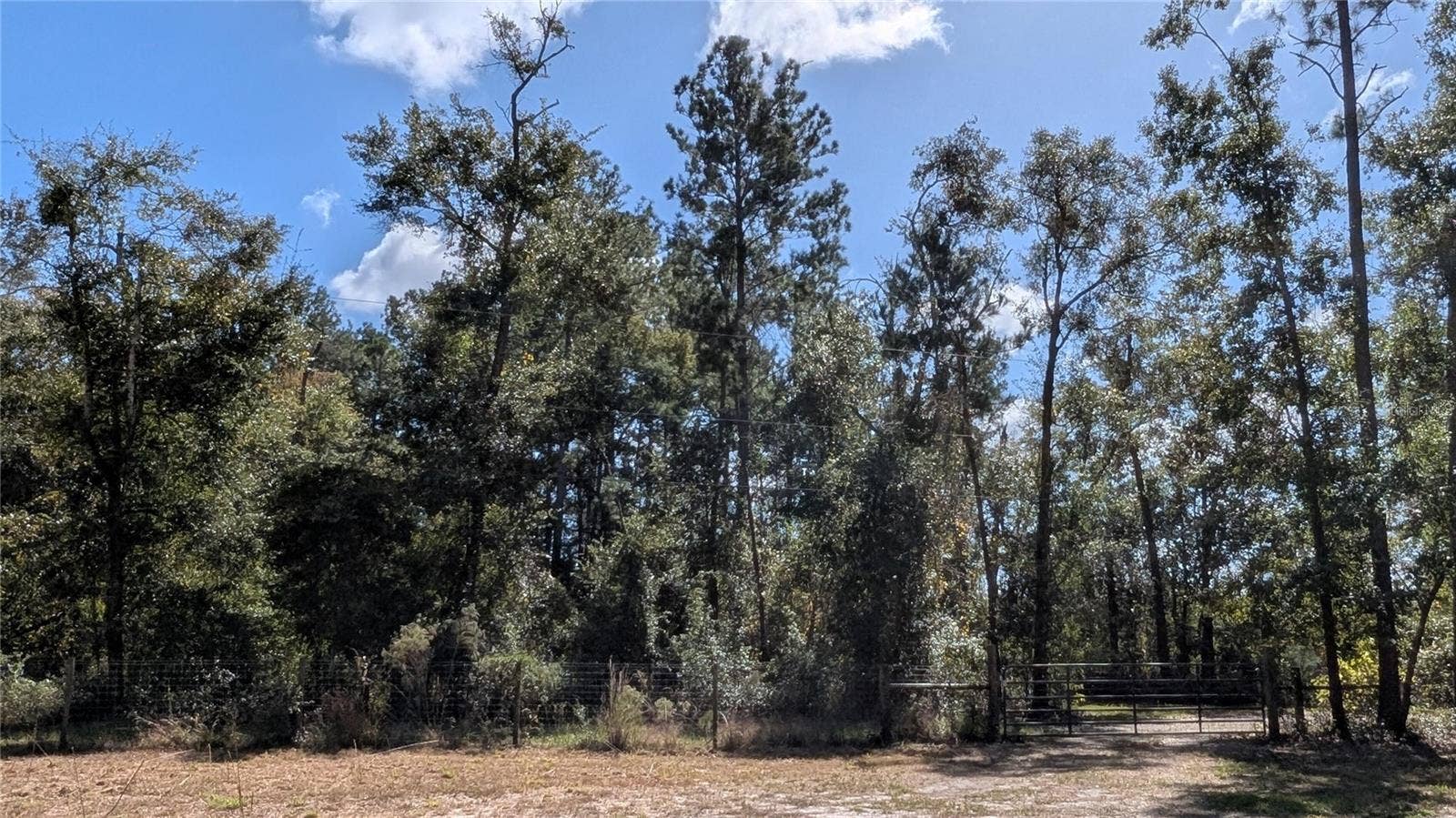 10591 160TH STREET, Mc Alpin, FL 32062