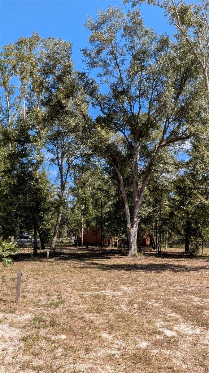 10591 160TH STREET, Mc Alpin, FL 32062