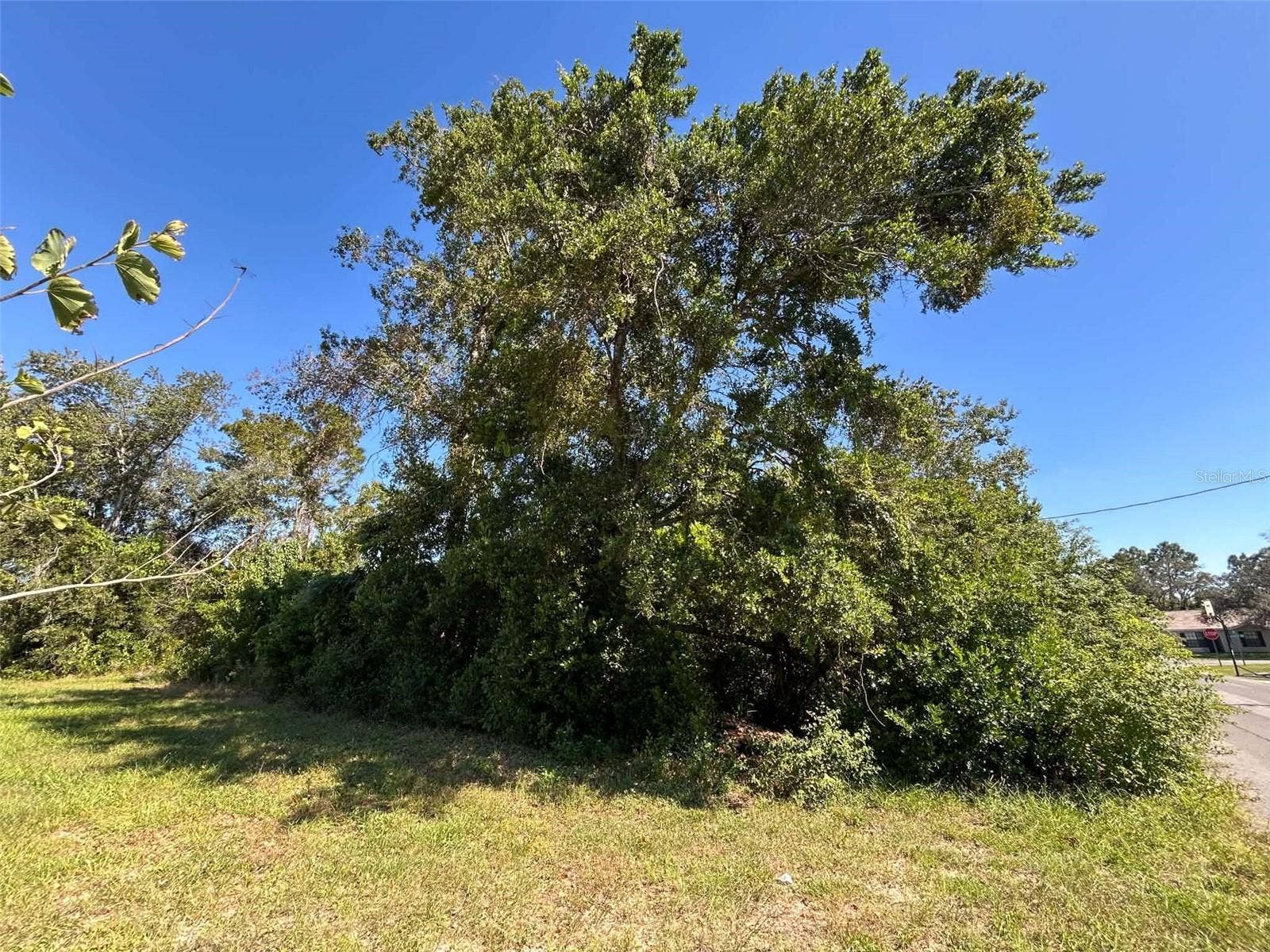 12299 RONALD STREET, Spring Hill, FL 34609 12299 RONALD STREET, Spring Hill, FL 34609
