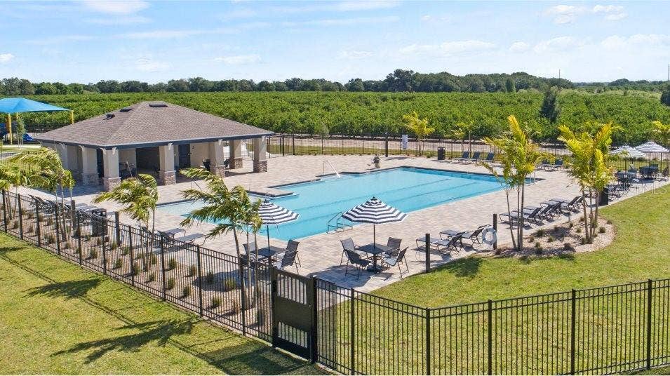 3047 CAPTAIN JAX WAY, Winter Haven, FL 33884 Amenities - Pool