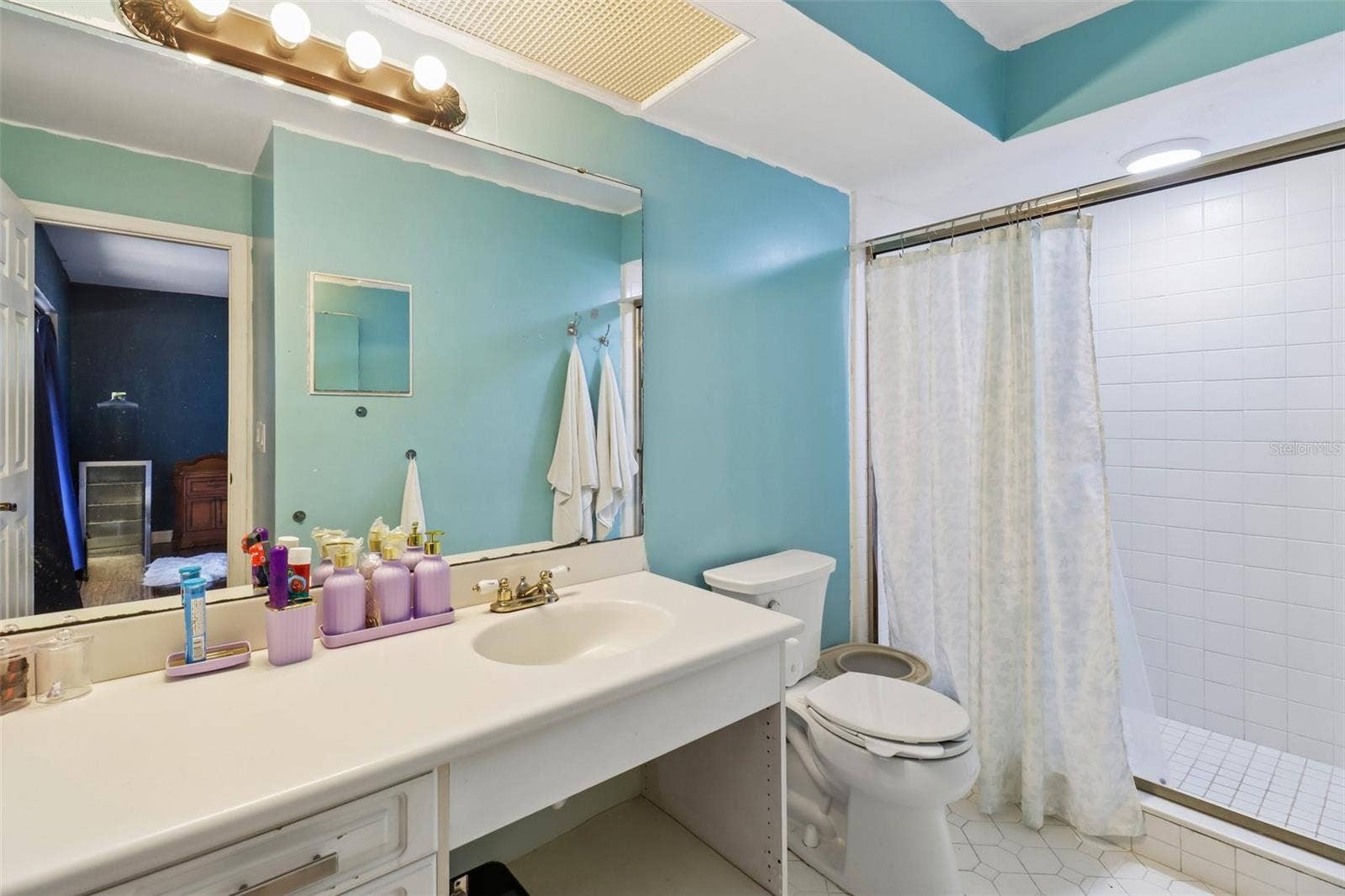 206 HARROGATE PLACE, Longwood, FL 32779 Primary en-suite bath.